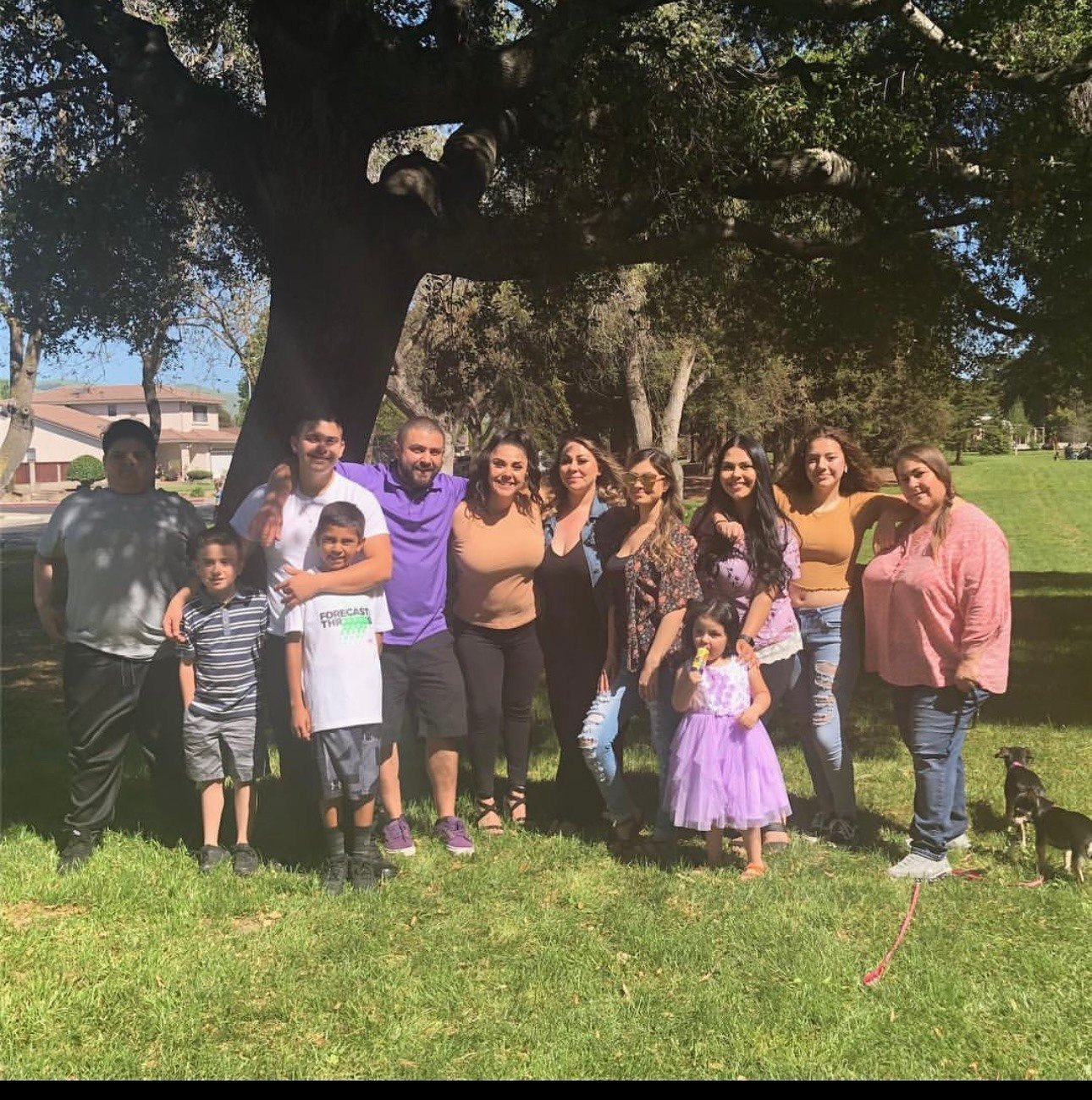 Angel group under a tree