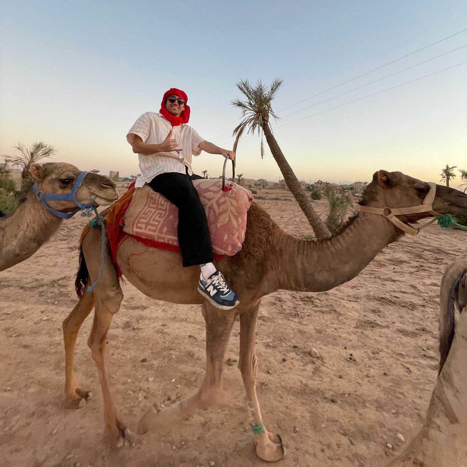 Xander riding a camel